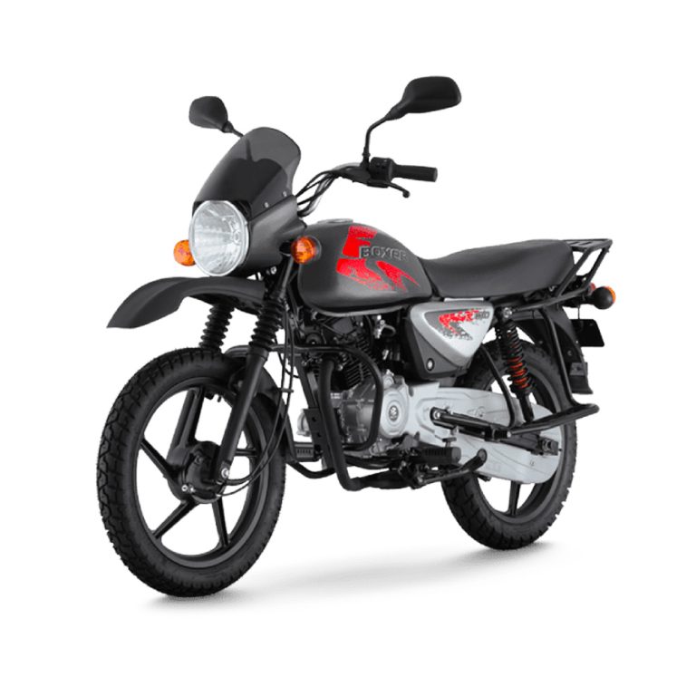 Boxer 2024 Bajaj Experia Gisele Trista